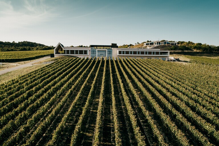 Visit Podunajsko_Vinarne_Vilagi Winery (4).jpg